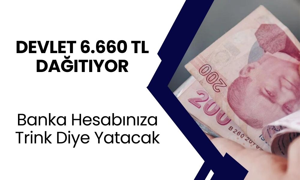 Devlet 6.660 TL dağıtıyor! Destek ödemesi banka hesabınıza yatacak