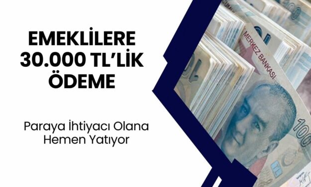 Başvuran Emeklilere 30.000 TL Ödeme Anında Yatıyor! Acil Paraya Mı İhtiyacınız Var? Hemen Başvurun