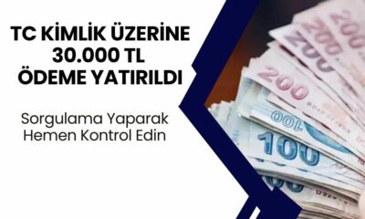 TC Kimlik Numaranıza 30.000 TL Ödeme Yattı! Sorgulamayla Hemen Kontrol Edin!