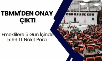 TBMM'den Onay Çıktı! Emeklilere 5 Gün İçinde 5166 TL Nakit Para Verilecek