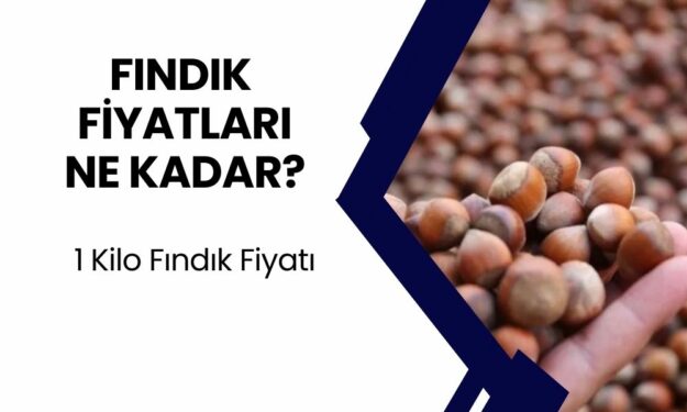 Yeni Fındık Fiyatları Belli Oldu! Kilo Fiyatı İçin Bu Kadar Ödenecek