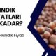 Yeni Fındık Fiyatları Belli Oldu! Kilo Fiyatı İçin Bu Kadar Ödenecek