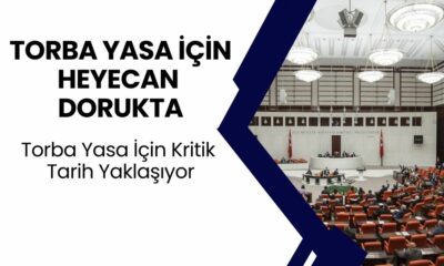 Taşerona kadro, 3600 ek gösterge, Bağ-Kur prim indirimi açıklandı: Torba Yasa ile yeni müjdeler geliyor