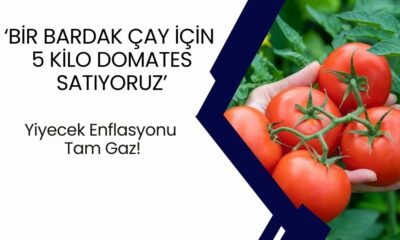 Çiftçinin Çığlığı: "Bir Bardak Çay İçin 5 Kilo Domates Satıyoruz!" Yiyecek Enflasyonu Tam Gaz!