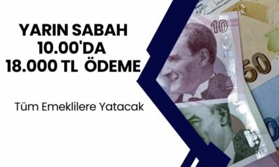 4A, 4B, 4C’li Emeklilerine Müjde! Tek Sefere Mahsus 18.000 TL Ek Ödeme Yarın 10.00’da Başlıyor