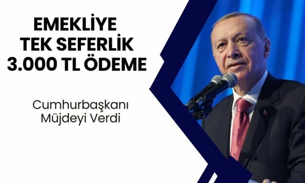 Cumhurbaşkanı Erdoğan Müjdeleri Sıraladı! Başvuru Yapan Tüm Emeklilere 3.000 TL Ek Ödeme Yapılacak