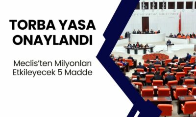 Torba Yasa ONAYLANDI! 90 Bin 4D'li Taşerona ve 4D'liye Kadro Müjdesi! SSK, Bağ-Kur Prim Affı, 3600 Ek Gösterge..