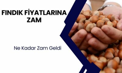 TMO AÇIKLADI! Fındık alım fiyatları belli oldu! Fındığa kaç TL zam geldi?