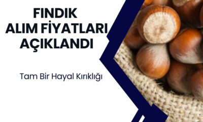 Fındık Üreticilerine Büyük Hayal Kırıklığı: Beklentilerin Çok Altında Kalan Fiyatlar Açıklandı