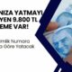 Hesabınıza Yatmayı Bekleyen 9.800 TL Ödeme Var! TC Kimlik Numarası Sonu 0-2-4 Olan Pazartesi 6-8 Olan Salı Günü Alacak