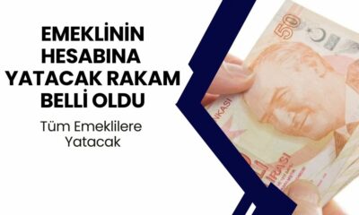 Emeklinin Merakla Beklediği Rakam Açıklandı: Hepsinin Hesabına Bu Rakam Yatacak