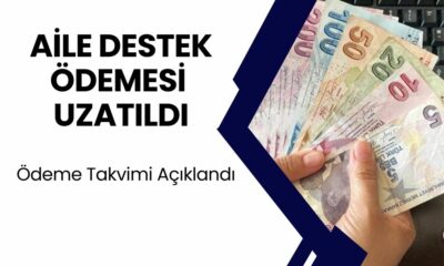 ŞOK GELİŞME: Türkiye Aile Destek Programı Uzatıldı! İlk Ödemeler 9 Ağustos'ta Hesaplarda!