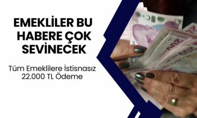 Devletten Emeklilere BALLI KATMERLİ Destek! Başvuran Emekliye 22.000 TL Ödeme Veriliyor