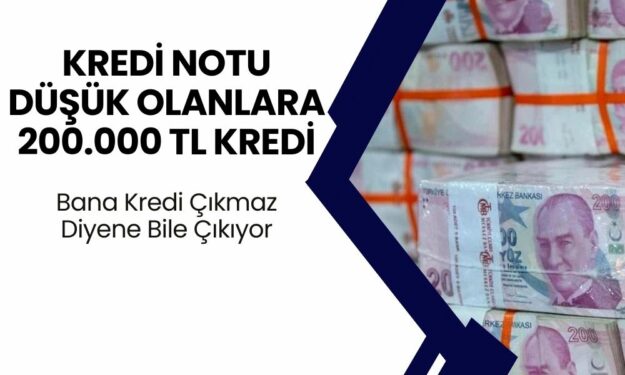 Halkbank, Gelirinize Bakmadan 200.000 TL Kredi Veriyor! Üstelik Kredi Notu Düşük Olanlar Bile Alabilir