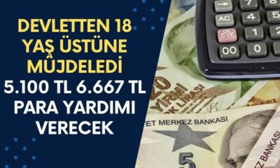 Devletten 18 Yaş Üstüne Müjdeledi! Bakanlık 3 Ay Boyunca 5.100 TL - 6.667 TL Para Yardımı Verecek! Mutlaka Başvurun