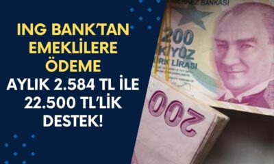 ING Bank’tan Emeklilere Ödeme Verecek: Aylık 2.584 TL ile 22.500 TL’lik Destek!