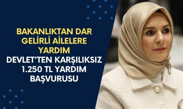 Bakanlıktan Dar Gelirli Ailelere Müjdeli Haber! e-Devlet'ten Karşılıksız 1.250 TL Yardım Başvurusu