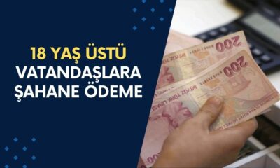 18 Yaş Üstü TC Vatandaşlarına Nakit Para Verilecek! 50.000 TL’ye Kadar Destek!