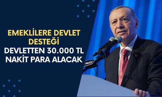 Emeklilere Devlet Desteği! Nakit İhtiyacı Olan Devletten 30.000 TL Nakit Para Alacak: Son Başvuruyu Kaçırmayın