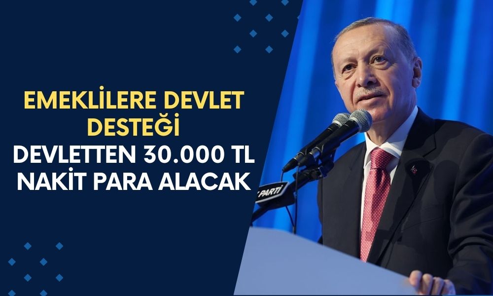 Emeklilere Devlet Desteği! Nakit İhtiyacı Olan Devletten 30.000 TL Nakit Para Alacak: Son Başvuruyu Kaçırmayın