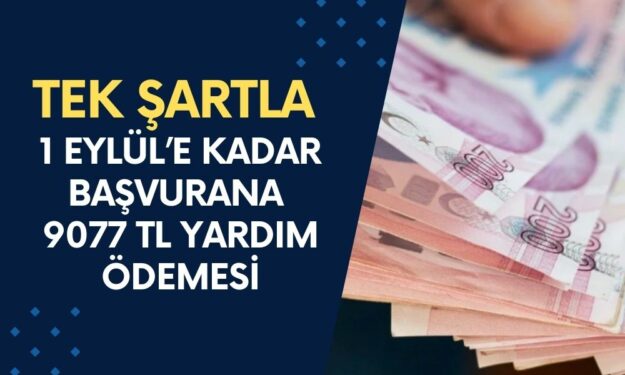 1 Eylül’e Kadar Başvurana 9077 TL Yardım Ödemesi! Tek Şartla Verilecek: Kimler Başvurabilir?