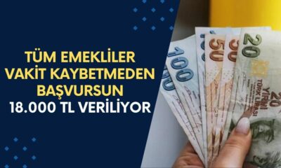 SSK, Bağkur, Emekli Sandığı Emeklileri Zaman Kaybetmeden Başvursun! 18.000 TL Karşılıksız Ödeme!