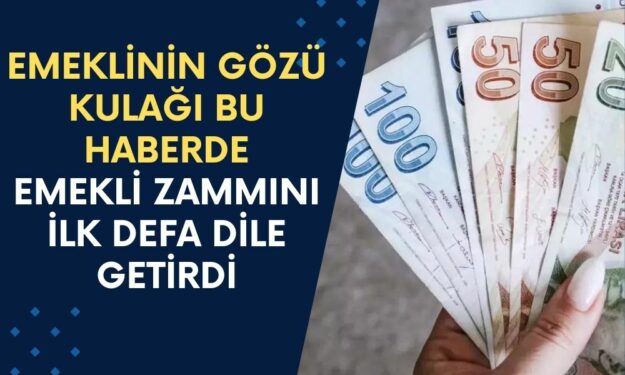 Emeklinin Gözü Kulağı Ocak Ayı Zammına Çevrildi! SGK Uzmanı Emekliye Net Rakamı Verdi