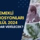 Bankaların Emekli Promosyonları: Eylül Ayında Emekliye Kaç TL Promosyon Verilecek?