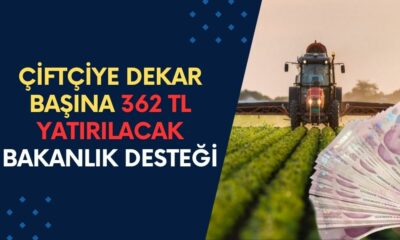 Çiftçiye Dekar Başına 362 TL Yatırılacak! Tarım Bakanlığı Yeni Çiftçi Desteğini Açıkladı