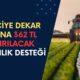 Çiftçiye Dekar Başına 362 TL Yatırılacak! Tarım Bakanlığı Yeni Çiftçi Desteğini Açıkladı