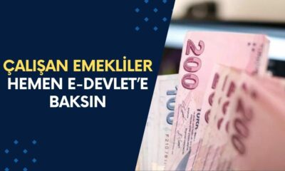 Emekli Olup da Hala Çalışan Herkes Hemen e-Devlet’e Baksın! Emin Yılmaz Kritik Uyarıyı Yaptı