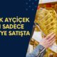 5 Litre Ayçiçek Yağı Sadece 195 TL'ye Satılıyor! O Markette Rekor İndirim