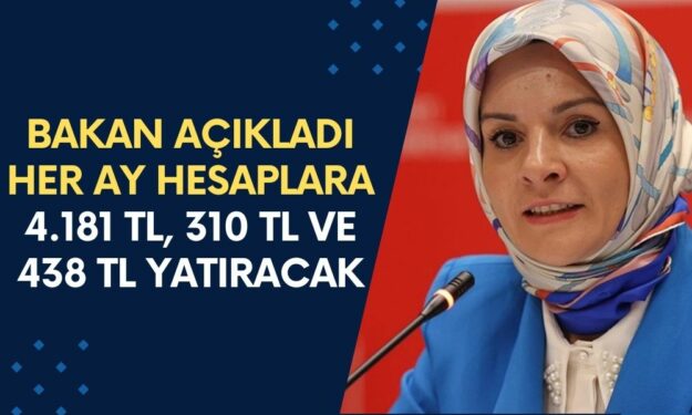 Bakanlık Hesabınıza Her Ay 4.181 TL, 310 TL ve 438 TL Yatıracak