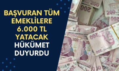 Hükümet Duyurdu! Başvuran Tüm Emeklilere 6.000 TL Yatacak