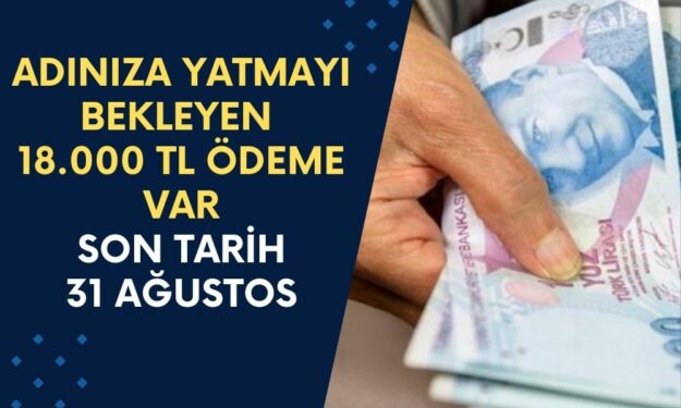 Adınıza Yatmayı Bekleyen 18.000 TL Ödeme Var! 31 Ağustos'a Kadar Başvurana Anında Yatıyor