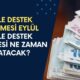 AİLE DESTEK ÖDEMESİ EYLÜL 2024: Aile Destek Programı Ödemeleri Yattı Mı, Hangi Tarihte Yatacak?