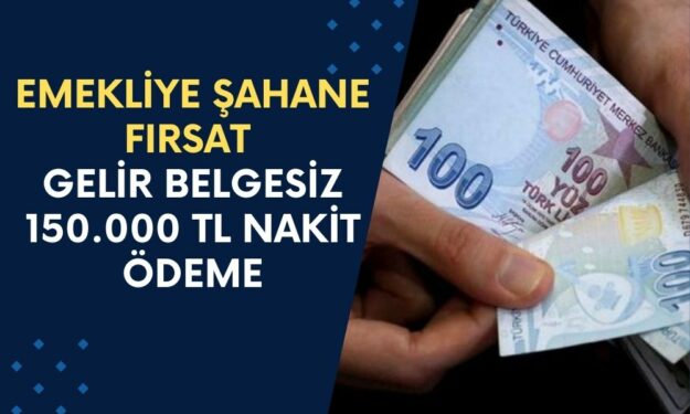 Çalışana Emekliye Gelir Belgesiz Kredi! 150.000 TL Nakit Ödeme Hesaplara Yatırılıyor