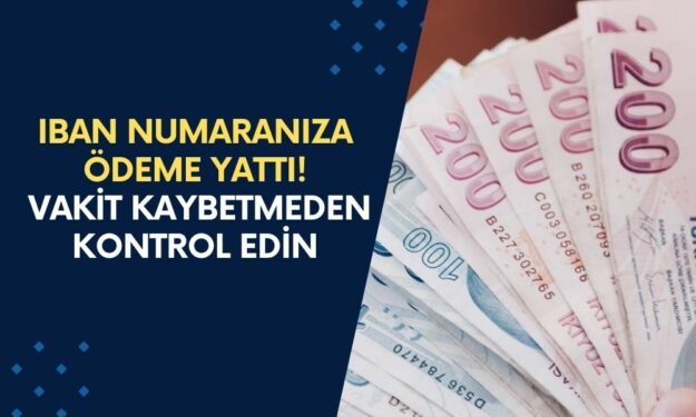 IBAN Numaranıza Ödeme Yattı! Vakit Kaybetmeden Hesabınızı Kontrol Edin!