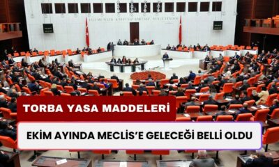 Torba Yasa'da Vatandaşın Gözünü Parlatacak Maddeler? Yeni Maddeler Belli Oldu