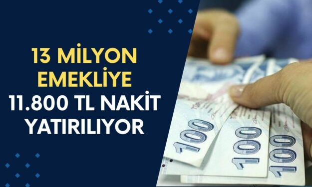 13 Milyon EMEKLİYİ Sevindirecek Gelişme! 10 Gün İçinde 11.800 TL Ödeme Cebinizde Olacak!