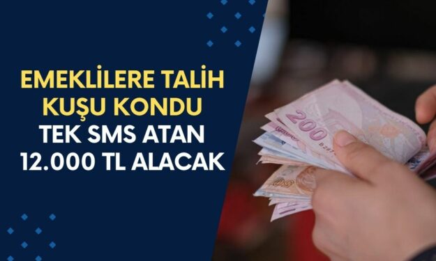 Emekliler O Tarihte Köşeyi Dönecek! Tek SMS Atan 12.000 TL Alacak