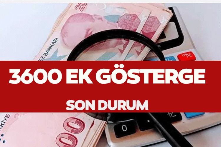 3600 ek gösterge, Meclis, Torba Yasa, memur maaşları, emekli aylıkları, emeklilik ikramiyesi, 1.derece memurlar, Çalışma ve Sosyal Güvenlik Bakanı Vedat Işıkhan, TBMM, 2024 yılı, Sosyal Güvenlik Kurumu, kamu personeli, unvan ve görev sorumluluğu, taşeron işçiler, ev hanımlarına emeklilik,