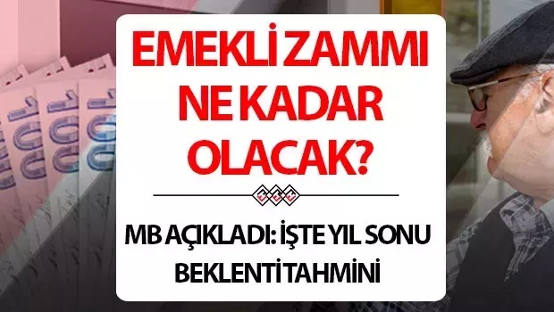 EMEKLİ MAAŞ ZAMMI HESAPLAMA TABLOSU