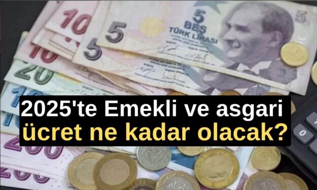 2025 Emekli ve asgari ücret ne kadar olacak? En düşük emekli aylığı, asgari ücret ve memur maaşları? Özgür Erdursun Açıkladı