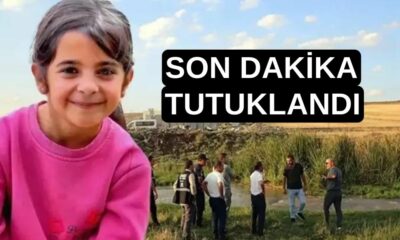 Diyarbakır, Narin Güran, Kayıp çocuk, Amca tutuklandı, Kuran kursu, Soruşturma, Salim Güran, Adalet Bakanı Yılmaz Tunç, DNA örneği, Kasten adam öldürme, Kişiyi hürriyetinden yoksun bırakma,