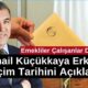 Emekliler Çalışanlar Dikkat! İsmail Küçükkaya Erken Seçim Tarihini Açıkladı!