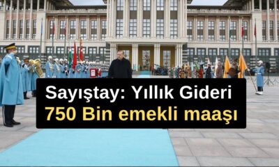 Sayıştay: Yıllık Gideri 750 Bin emekli maaşı