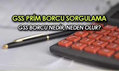 GSS PRİM BORCU SORGULAMA & ÖDEME | Genel Sağlık Sigortası (GSS) borcu nedir, neden olur? GSS sorgulama ekranı