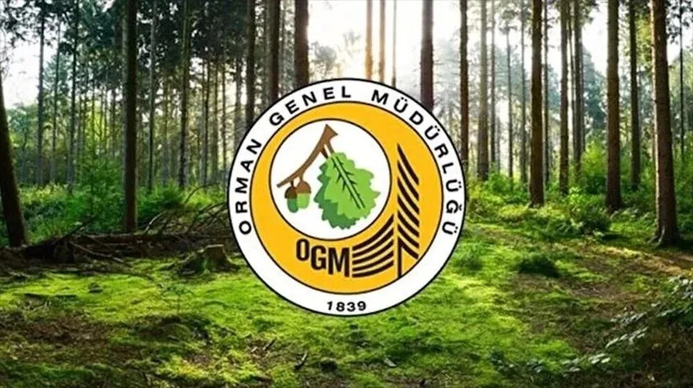 OGM personel alımı, Orman muhafaza memuru, Mühendis kadroları, Orman Genel Müdürlüğü, Başvuru şartları, OGM başvuru süreci,