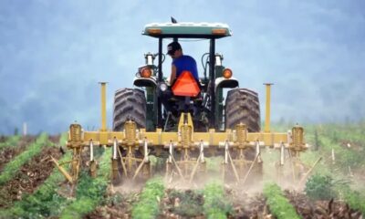 Tarım ve Orman Bakanlığı, 2025 yılı için bitkisel üretim desteklerini önemli ölçüde artırdı. Yapılan güncellemelerle birlikte, destek miktarlarında dikkate değer bir artış sağlandı.